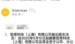 阿里最新爆料裁员,裁员风波再起，行业寒冬下的企业生存挑战