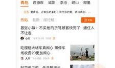 青岛新闻爆料投稿,聚焦城市热点事件，揭秘幕后真相